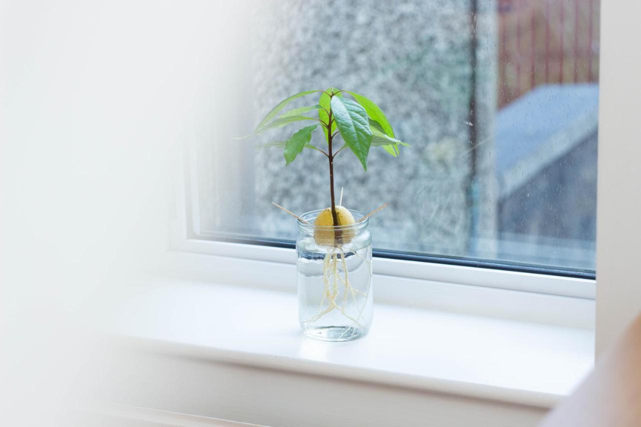 Lele'S Flat Edinburgh - 15 Minutes To Airport & City Centre エクステリア 写真